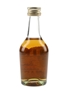 Hine 3 Star Bottled 1970s 5cl / 40%