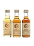 Signatory Vintage Speyside Miniatures Glenlivet 1973, Glen Elgin 1973, Braes Of Glenlivet 1979 3 x 5cl