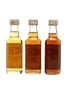 Signatory Vintage Speyside Miniatures Glenlivet 1973, Glen Elgin 1973, Braes Of Glenlivet 1979 3 x 5cl