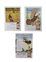 Glenmore, Wild Turkey & Kentucky Tavern 1940s, 1950s & 1960s Advertising Prints 