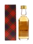 Ardmore 1981 Bottled 1990s - Gordon & MacPhail 5cl / 40%