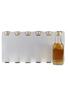 Royal Salute Hundred Cask Selection  12 x 5cl / 40%