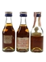 Martell Cognac Bottled 1970s - US Import 3 x 4.7cl