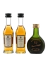 Courvoisier VSOP & Napoleon De Puysegur Japan Import 3 x 3cl-5cl / 40%