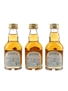 Chivas Regal 12 Year Old Mizunara Japanese Market 3 x 5cl / 40%