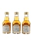 Chivas Regal 12 Year Old Mizunara Japanese Market 3 x 5cl / 40%