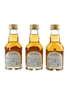 Chivas Regal 12 Year Old Mizunara Japanese Market 3 x 5cl / 40%