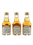 Chivas Regal 12 Year Old Mizunara Japanese Market 3 x 5cl / 40%