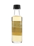 Ardbeg Ardcore Trade Sample 10cl / 46%