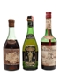 Assorted Brandy Armagnac, Calvados & Italian Brandy 3 x 75cl