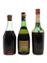 Assorted Brandy Armagnac, Calvados & Italian Brandy 3 x 75cl