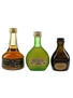 Assorted Armagnac and Cognac  3 x 3cl-5cl / 40%