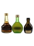 Assorted Armagnac and Cognac  3 x 3cl-5cl / 40%