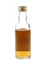 Speyburn 1971 Connoisseurs Choice Bottled 1980s - Gordon & MacPhail 5cl / 40%