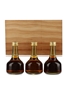 Armagnac de Montal - A Selection of Three Rare Vintages Miniature Set 3 x 5cl / 45%