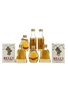 Assorted Blended Scotch Whisky  6 x 5cl