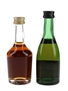 Assorted Cognac  2 x 5cl