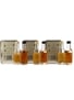 Glenmorangie 10 Year Old & Port Wood Finish Presentation Tin 6 x 5cl