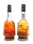 Centenari Fruit Liqueurs William's Pear & Mandarino 2 x 70cl