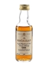 Macallan 1966 Bottled 1985 5cl / 43%