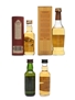 Assorted Whisky Miniatures Tamdhu, Glenmorangie, Auchentoshan, Jameson 1 x 10cl & 3 x 5cl