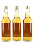 Black Fine Blended Whisky  3 x 70cl / 40%