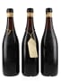 1967 Barolo Riserva Speciale Giovanni Bertolino & Figlio 3 x 72cl / 13.4%