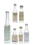 Assorted Spirits & Liqueurs Sambuca, Ouzo, Rum, Eau De Vie 10cl, 4 x 4cl, 2.5cl