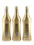 Martini Gold Dolce & Gabbana  3 x 75cl / 18%