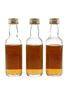 Glenlossie 1968 Connoisseurs Choice Bottled 1980s - Gordon & MacPhail 3 x 5cl / 40%