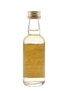 Allt A Bhainne 1981 12 Year Old Bottled 1994 - Signatory Vintage 5cl / 57.1%