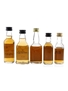 Dalmore 12 Year Old  5 x 3cl-5cl