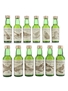 The Birds Of Britain The Whisky Connoisseur - Thomas Bewick 12 x 5cl / 40%