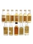 Assorted Blended Scotch Whisky  12 x 5cl