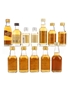 Assorted Blended Scotch Whisky  12 x 5cl