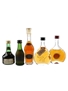 Assorted Cognac & Armagnac  5 x 3cl-5cl / 40%