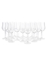 The Perfect Measure Tasting Glasses Elixir Distillers 20 x 15.5cm