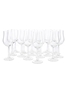 The Perfect Measure Tasting Glasses Elixir Distillers 16 x 15.5cm