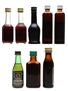 Assorted Spirits & Liqueurs Miniatures 8 x 5cl