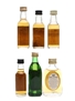 Assorted Single Malt Miniatures Dalmore, Cragganmore, Blair Athol, Auchentoshan, Glenfiddich, Tobermory 5 x 5cl & 3cl / 40%