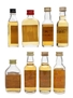 Blended Scotch Whisky Miniatures  8 x 5cl / 40%