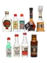 Assorted Spirit & Liqueur Miniatures Maraska, Bols, Badel, Ouzo 9 x 2.5cl - 5cl