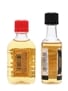 Cinnamon Whisky Miniatures USA & Canada 2 x 5cl