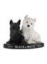 Black & White Plastic Bottle Display Stand  24cm x 31cm