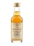 Macallan 10 Year Old Bottled 2000s 5cl / 40%