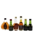 Assorted Cognac  6 x 3cl-5cl / 40%