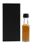 Auchentoshan 1991 32 Year Old Cask 1896 Bottled 2023 - Halcyon Spirits - Still Spirit 3cl / 48.7%