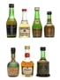 Assorted Cognac Miniatures Courvoisier, Otard, Camus, Polignac 7 x 3cl - 5cl / 40%