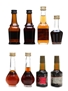 Assorted Fruit Liqueurs Bols, Cusenier, De Kuyper 8 x 2cl - 5cl