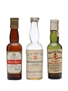 3 x Blended Scotch Whisky Miniature 